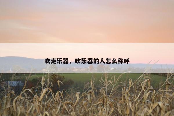 吹走乐器，吹乐器的人怎么称呼