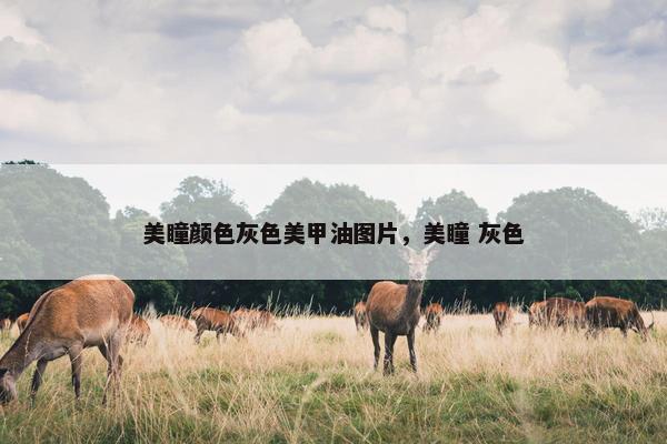 美瞳颜色灰色美甲油图片，美瞳 灰色