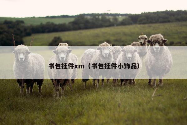 书包挂件xm（书包挂件小饰品）