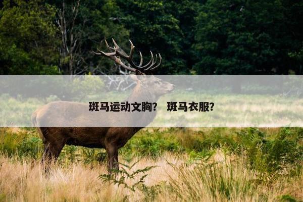 斑马运动文胸？ 斑马衣服？