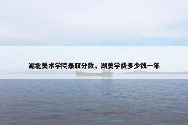 湖北美术学院录取分数，湖美学费多少钱一年