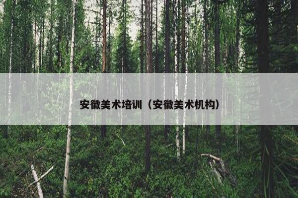 安徽美术培训（安徽美术机构）