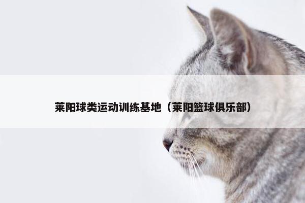 莱阳球类运动训练基地（莱阳篮球俱乐部）