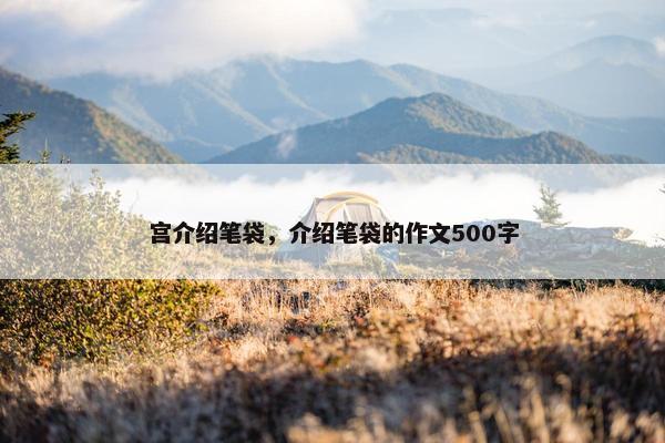 宫介绍笔袋，介绍笔袋的作文500字