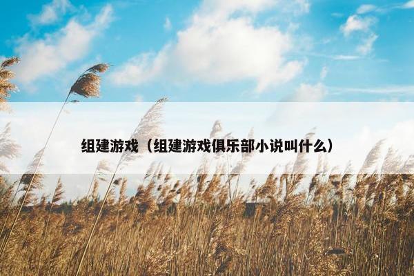 组建游戏（组建游戏俱乐部小说叫什么）