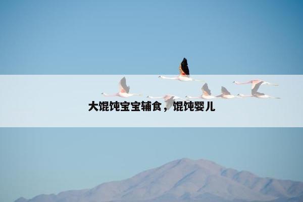 大馄饨宝宝辅食，馄饨婴儿