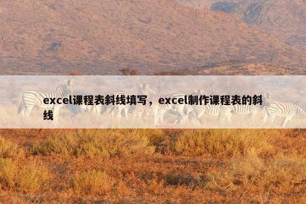 excel课程表斜线填写，excel制作课程表的斜线