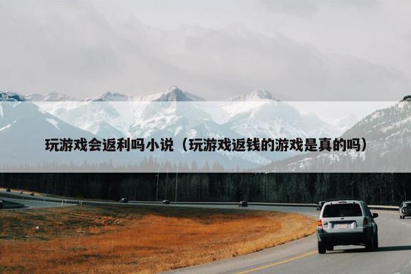 玩游戏会返利吗小说（玩游戏返钱的游戏是真的吗）