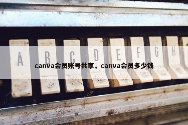 canva会员账号共享，canva会员多少钱