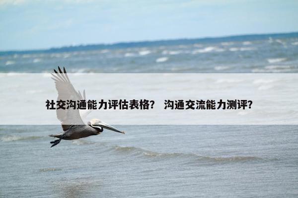 社交沟通能力评估表格？ 沟通交流能力测评？