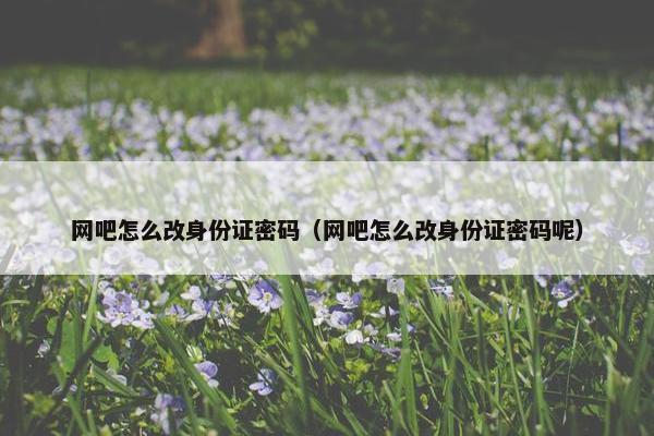 网吧怎么改身份证密码（网吧怎么改身份证密码呢）