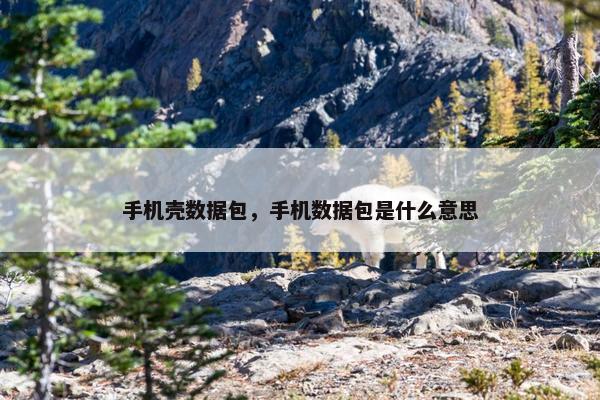 手机壳数据包,手机数据包是什么意思 手机壳数据包,手机数据包是什么意思