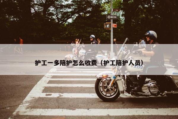 护工一多陪护怎么收费（护工陪护人员）