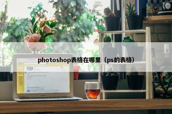 photoshop表格在哪里（ps的表格）