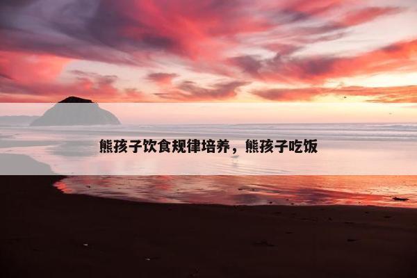 熊孩子饮食规律培养，熊孩子吃饭