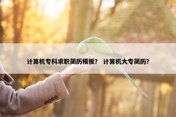 计算机专科求职简历模板？ 计算机大专简历？