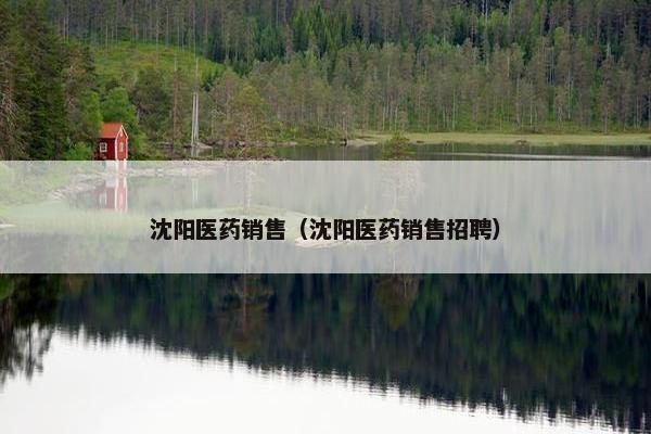 沈阳医药销售（沈阳医药销售招聘）