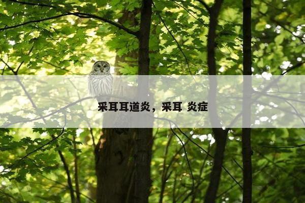 采耳耳道炎,采耳 炎症 采耳耳道炎,采耳 炎症