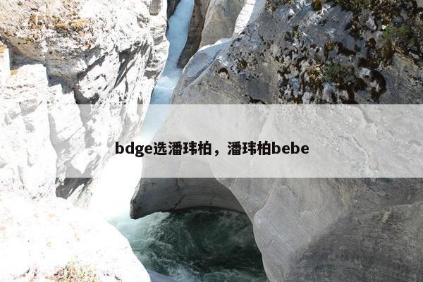 bdge选潘玮柏，潘玮柏bebe