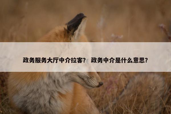 政务服务大厅中介拉客？ 政务中介是什么意思？