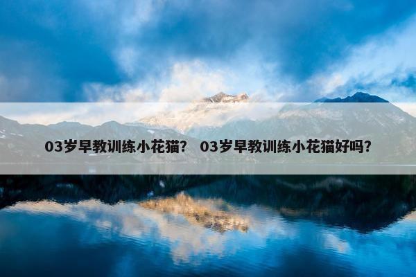 03岁早教训练小花猫？ 03岁早教训练小花猫好吗？