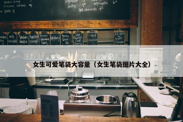 女生可爱笔袋大容量（女生笔袋图片大全）