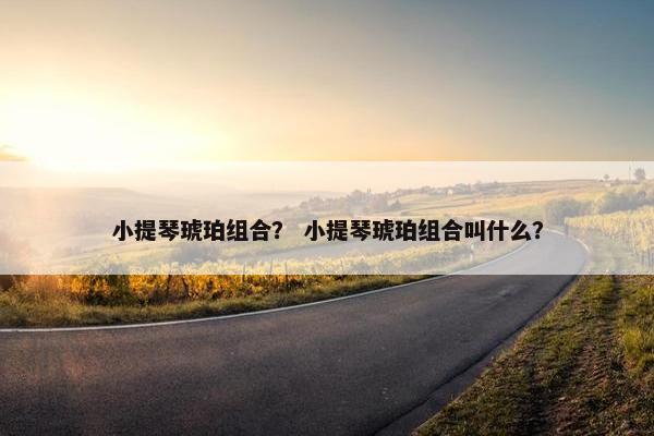 小提琴琥珀组合？ 小提琴琥珀组合叫什么？