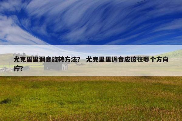 尤克里里调音旋转方法？ 尤克里里调音应该往哪个方向拧？