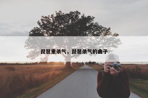 琵琶重杀气,琵琶杀气的曲子 琵琶重杀气,琵琶杀气的曲子