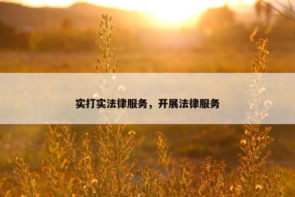 实打实法律服务,开展法律服务 实打实法律服务,开展法律服务