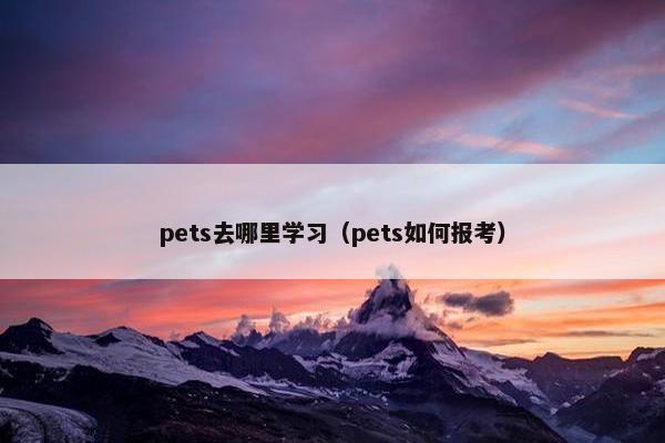 pets去哪里学习(pets如何报考) pets去哪里学习(pets如何报考)