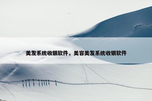 美发系统收银软件，美容美发系统收银软件