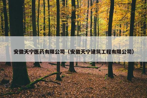 安徽天宁医药有限公司（安徽天宁建筑工程有限公司）
