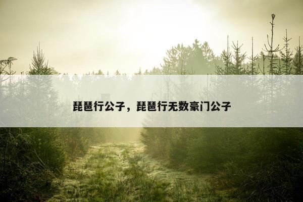 琵琶行公子，琵琶行无数豪门公子