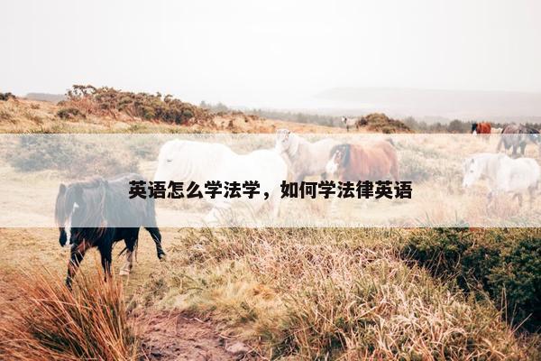 英语怎么学法学，如何学法律英语