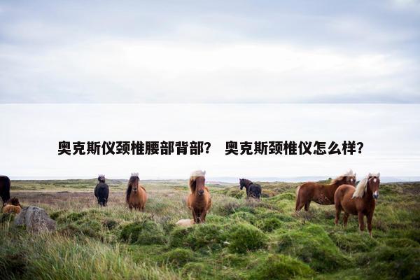 奥克斯仪颈椎腰部背部？ 奥克斯颈椎仪怎么样？