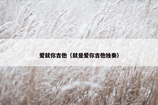 爱就你吉他(就是爱你吉他独奏) 爱就你吉他(就是爱你吉他独奏)
