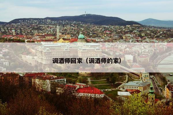 调酒师回家(调酒师的家) 调酒师回家(调酒师的家)