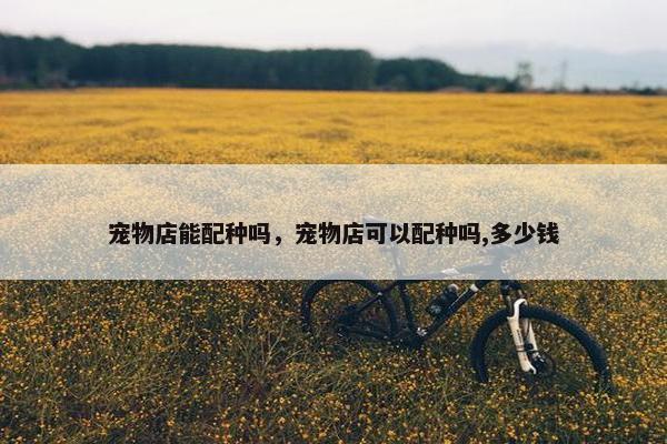 宠物店能配种吗,宠物店可以配种吗,多少钱 宠物店能配种吗,宠物店可以配种吗,多少钱
