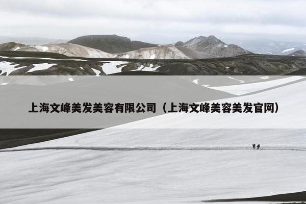 上海文峰美发美容有限公司（上海文峰美容美发官网）