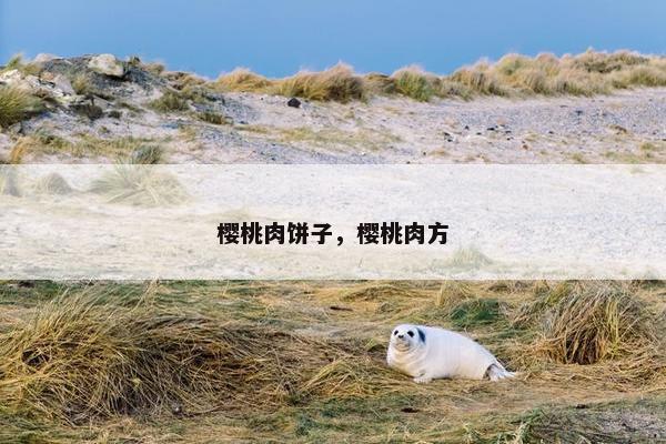樱桃肉饼子,樱桃肉方 樱桃肉饼子,樱桃肉方