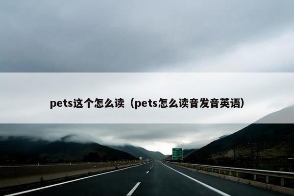 pets这个怎么读（pets怎么读音发音英语）