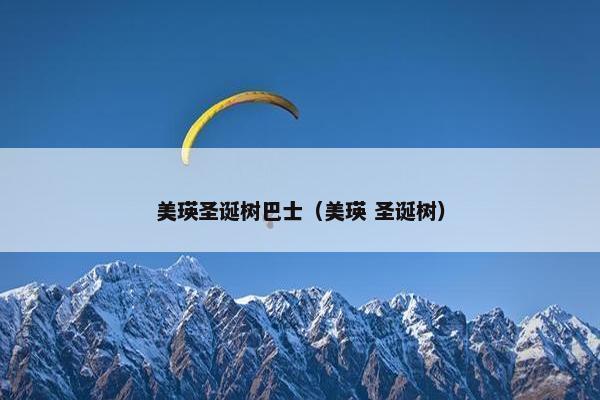 美瑛圣诞树巴士（美瑛 圣诞树）