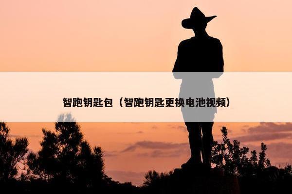 智跑钥匙包（智跑钥匙更换电池视频）