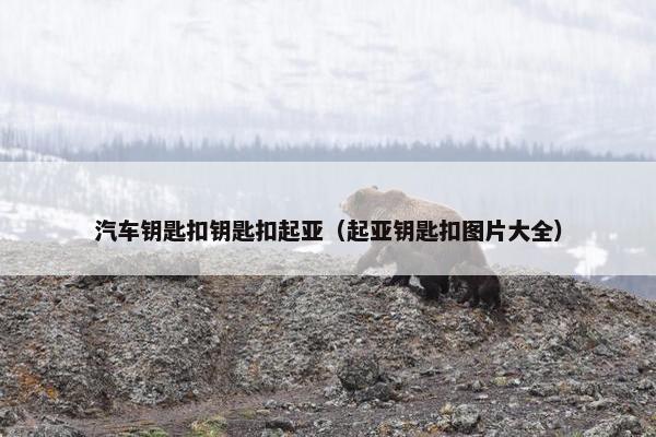 汽车钥匙扣钥匙扣起亚（起亚钥匙扣图片大全）