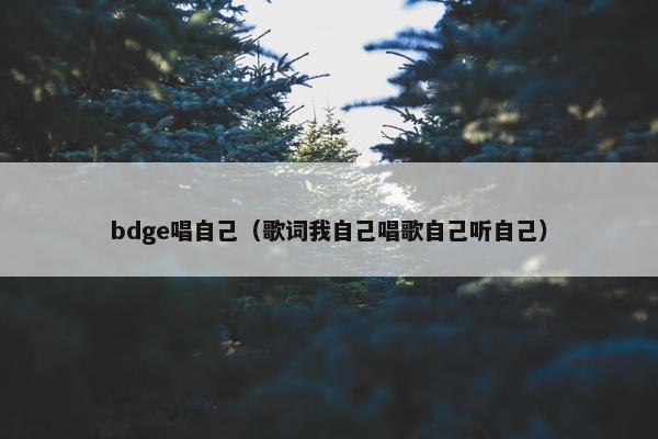 bdge唱自己（歌词我自己唱歌自己听自己）