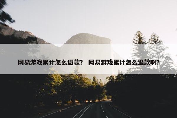 网易游戏累计怎么退款？ 网易游戏累计怎么退款啊？