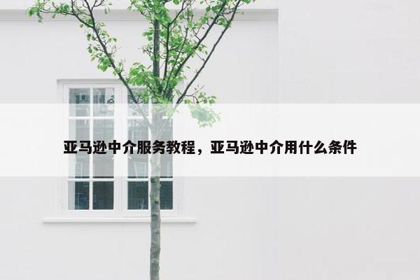 亚马逊中介服务教程，亚马逊中介用什么条件