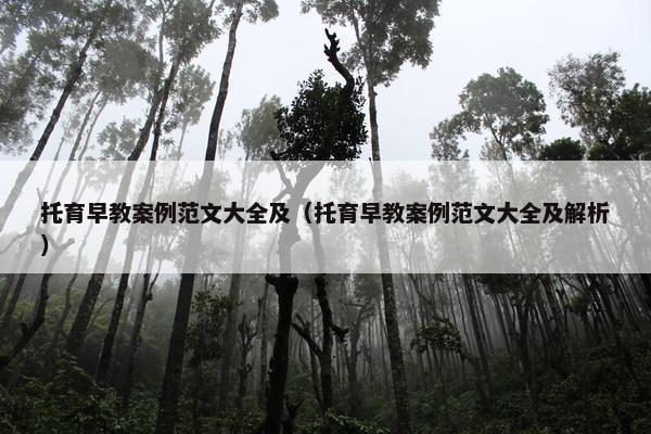 托育早教案例范文大全及（托育早教案例范文大全及解析）