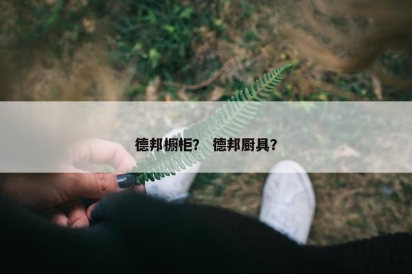 德邦橱柜？ 德邦厨具？